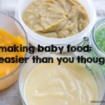 Making Baby Food: Easier Than You Thought with Benefits for the Whole Family
