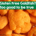 Gluten Free Goldfish – Too Good to be True?