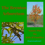 The Brenton Arboretum: Nature Play For Kids & Families