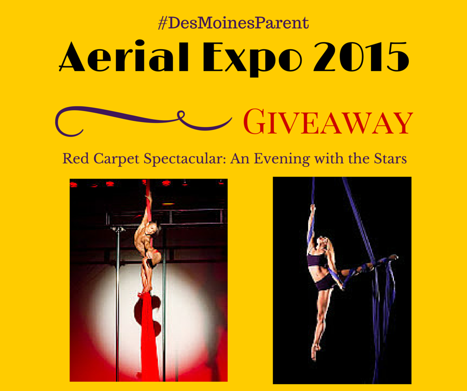Aerial Expo 2015 & Giveaway!