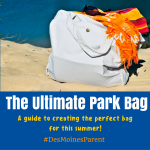 The Ultimate Park Bag!
