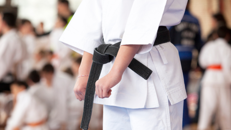 Des Moines Martial Arts Schools: Taekwondo and Karate Classes