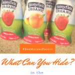 What Can You Hide in the New Stonyfield Smoothies?
