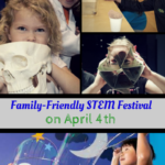 Family-Friendly STEM Festival