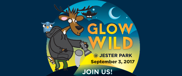 Glow Wild 2017 at Jester Park