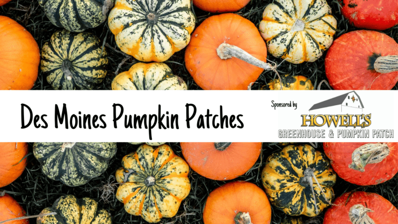 Pumpkin Patches in Des Moines