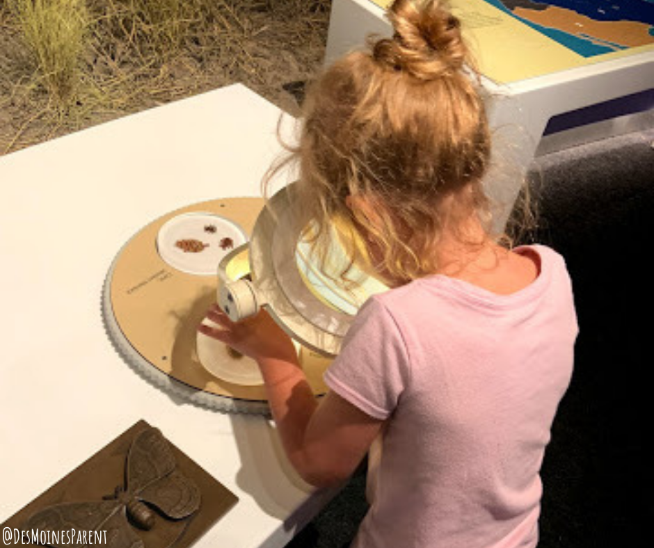 Girl looking through microscope at a museum.
