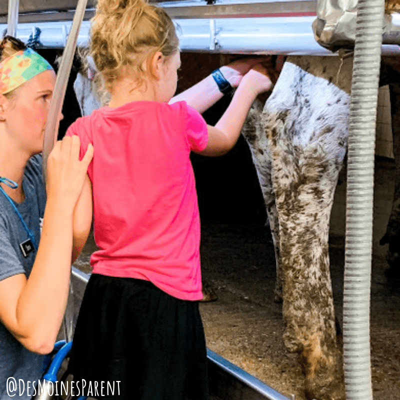Hansen's Dairy Farm offering delicious dairy and kangaroos in Iowa. 