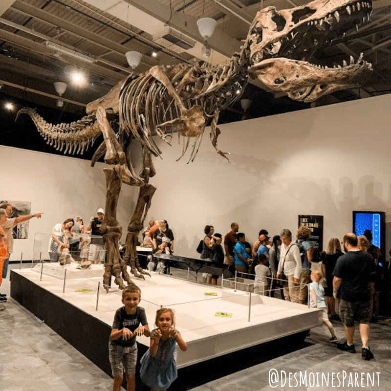 The Durham Museum located in downtown Omaha, Nebraska provides history, trains, and current exhibit all about dinosaurs.