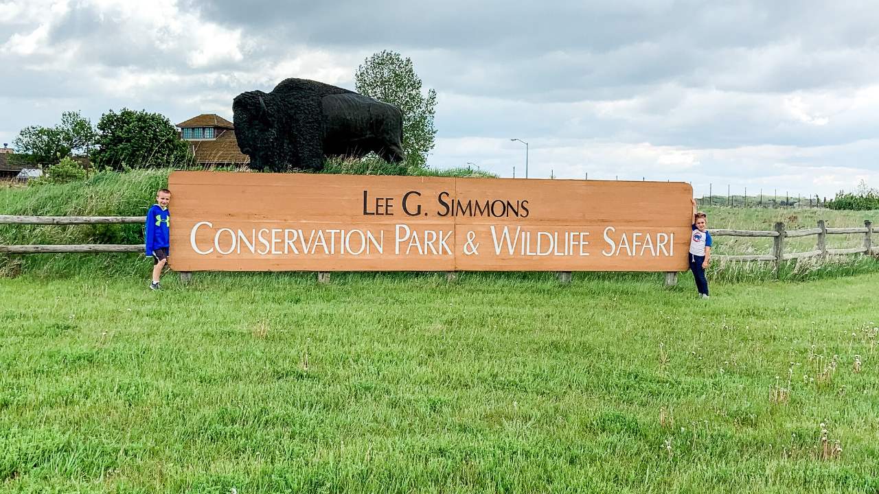 gene simmons wildlife safari park