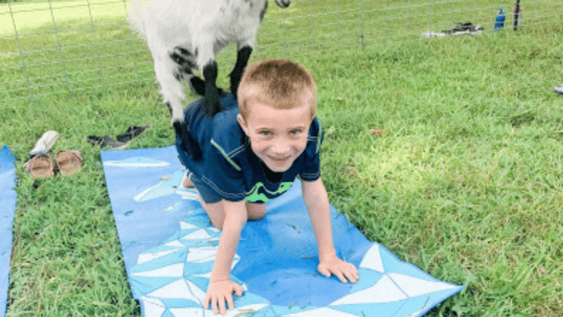 Goat Yoga a Bucket List Item for All Ages
