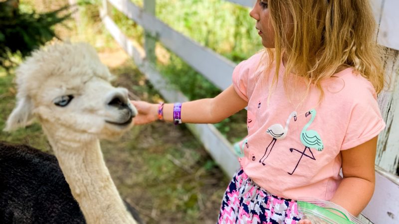 Fun Places to See Animals in the Des Moines Area