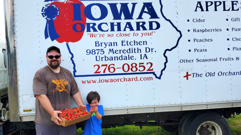 Iowa Orchard, U-Pick Strawberry, Des Moines, Iowa, Granger, strawberry picking, recipes, strawberry recipes, things to do in Des Moines