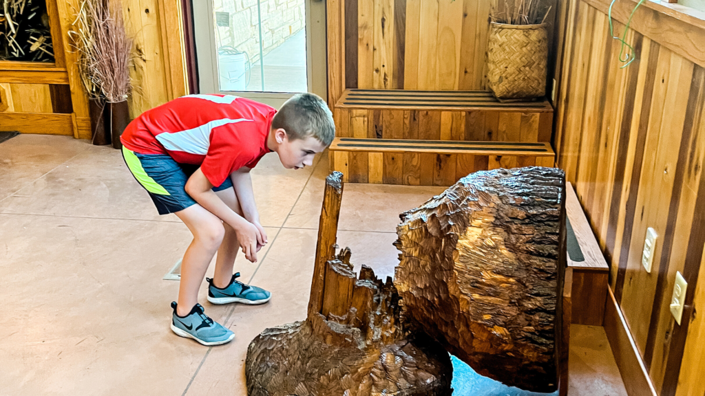 Nature Centers, Midwest, outdoors, travel, outdoor recreation, Nature