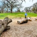 Natural Playscapes in Des Moines