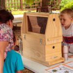 Celebrate Pollinator Fest at Reiman Gardens
