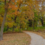 Brown's Woods, West Des Moines, parks, hiking, fall foliage, Iowa, Polk County Conservation