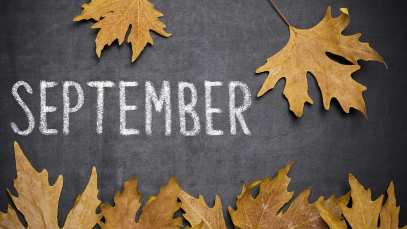 September, September holidays