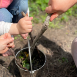 Forest Schools, Des Moines, Iowa, Education, early education, outdoors, nature