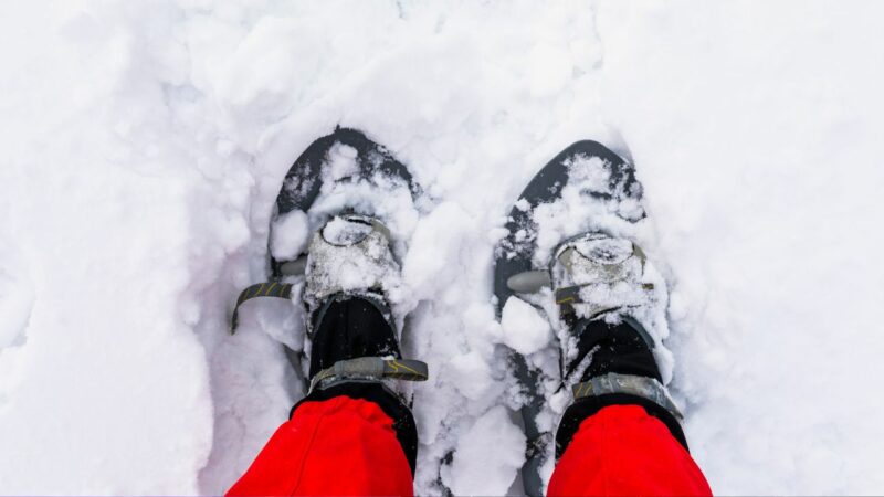 Snowshoeing in Des Moines, Snowshoes, Des Moines, Iowa