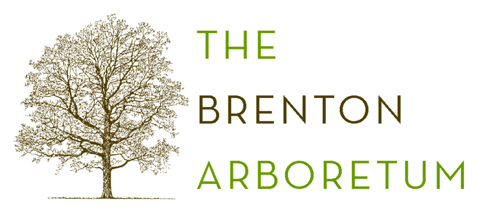 The Brenton Arboretum