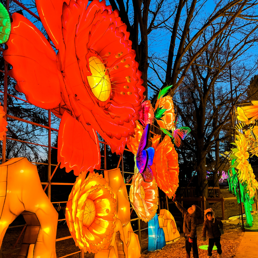Wild Lights Festival, Blank Park Zoo, Midamerican Energy, Des Moines, Iowa, things to do, outdoor fun, family fun