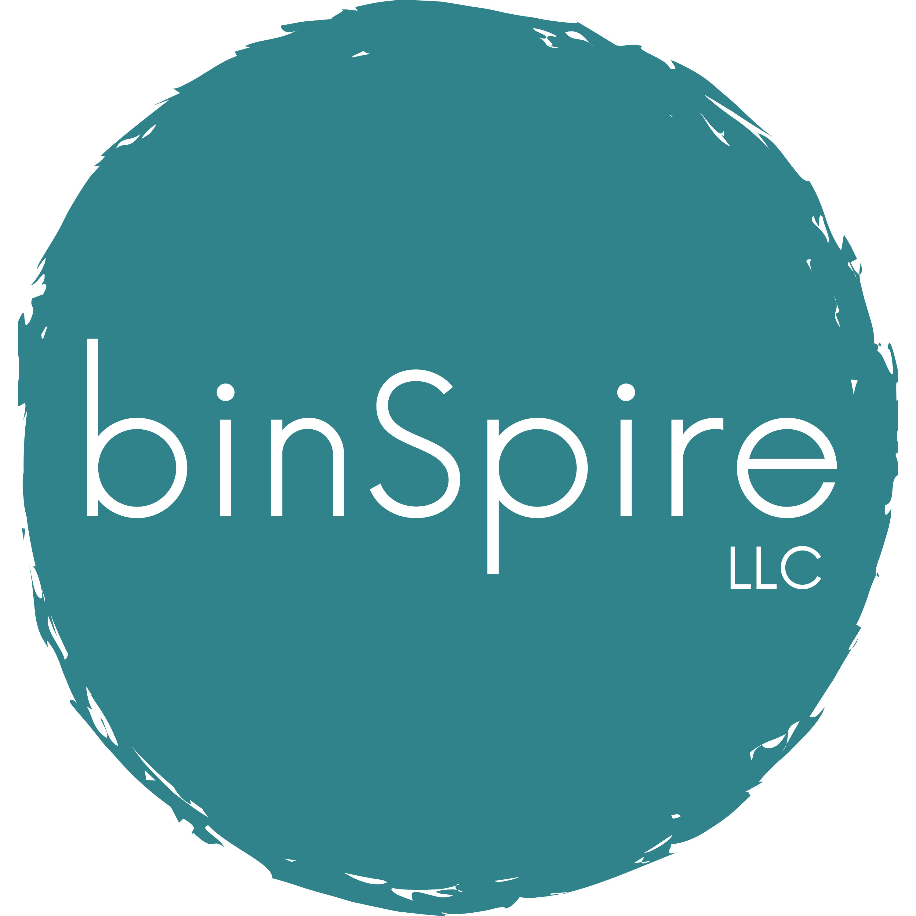 binSpire LLC