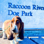 Raccoon River Dog Park in West Des Moines, Iowa
