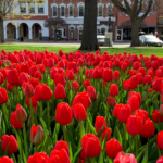 spring, flowers, Des Moines, Iowa, gardens, outdoors
