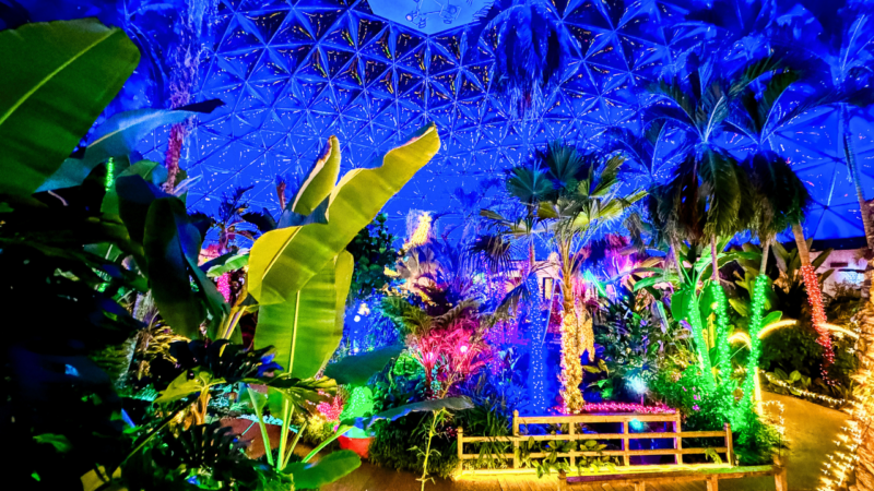 Dome for the Holidays, Greater Des Moines Botanical Garden