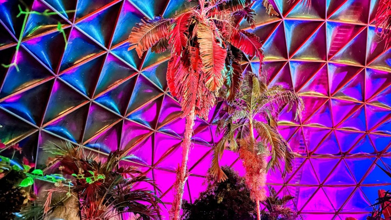 Dome After Dark, Greater Des Moines Botanical Garden, Winter in Des Moines