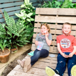 Greater Des Moines Botanical Garden, Spring Break, things to do