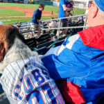 Dog Days of Summer at Prinicipal Park