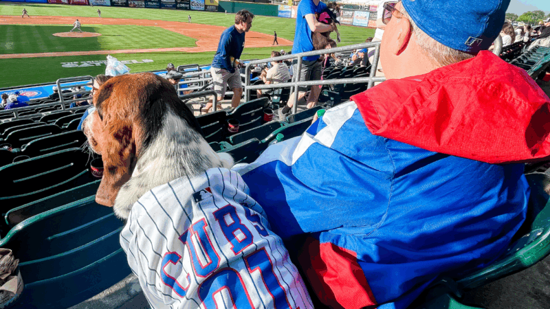 Dog Days, Iowa Cubs, ARL, Principal Park