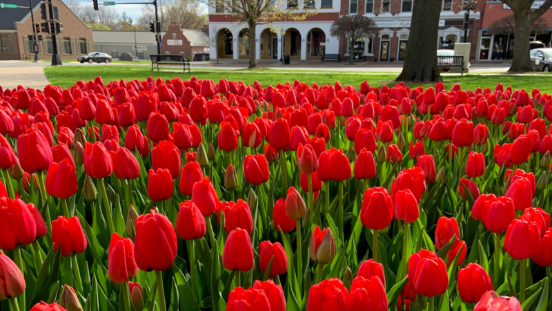 Top 8 Things To Do in Des Moines in May