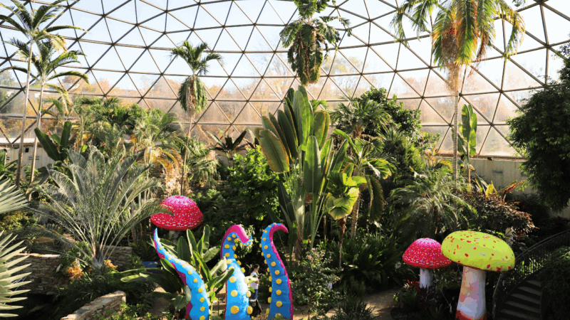 Greater Des Moines Botanical Garden, Halloween, Des Moines, things to do