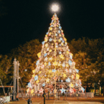 Tree lightings, Holidays, christmas in Des Moines