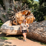 clinton, iowa, road trip, trolls, Sabula